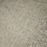 8x11 Distressed Beige Antique Washed Rug Vintage Style Hand Knotted 100% Wool 2984